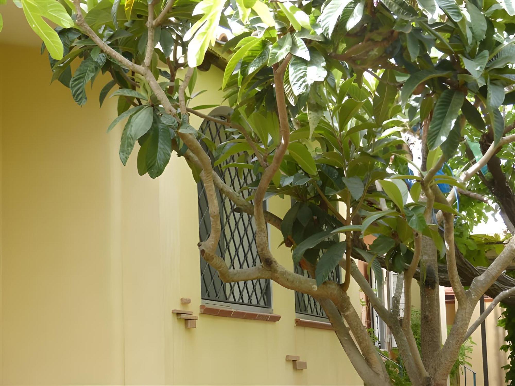Casa Nespolo Βίλα Tortolì Εξωτερικό φωτογραφία