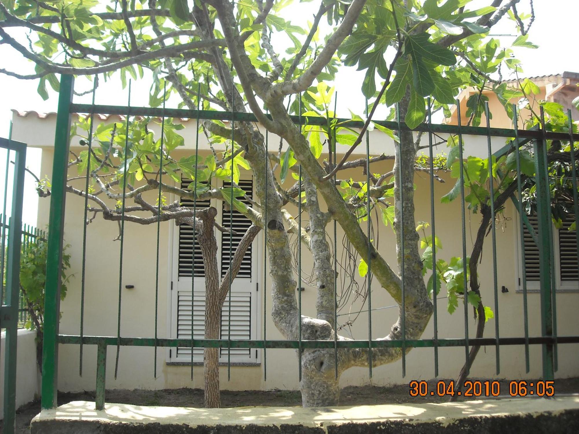Casa Nespolo Βίλα Tortolì Εξωτερικό φωτογραφία